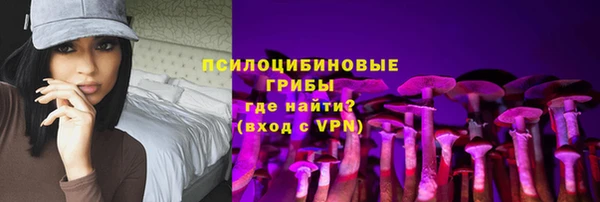 гашик Балахна
