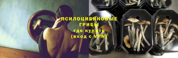 гашик Балахна