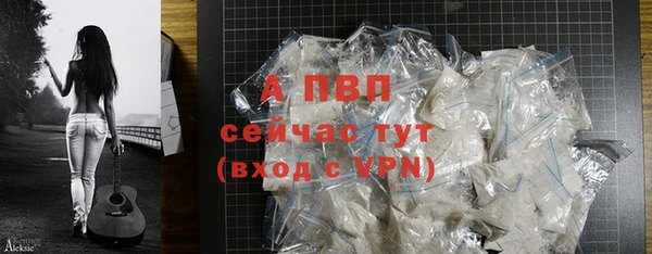 гашик Балахна